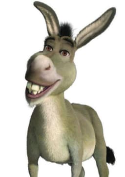 Donkey