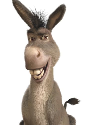 Donkey