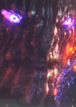 Dormammu