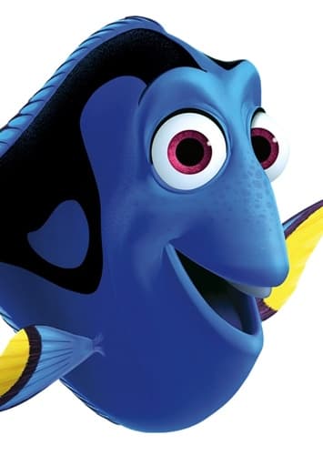Dory