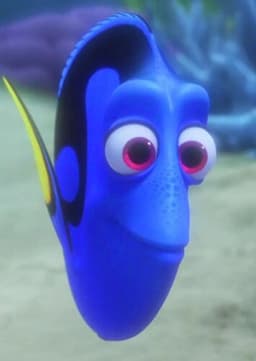 Dory