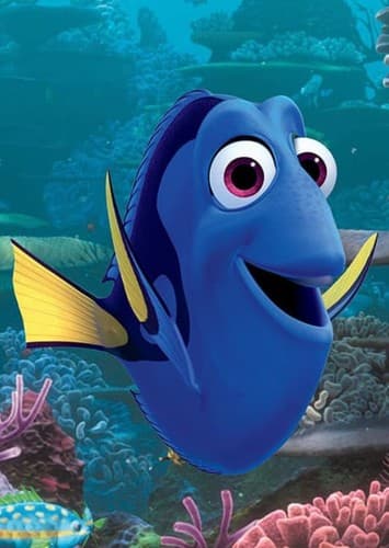 Dory