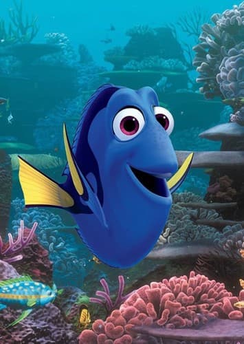 Dory