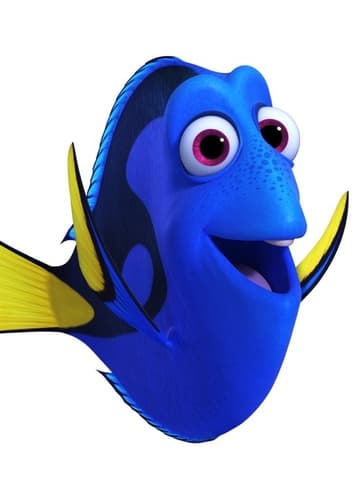 Dory