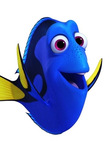Dory