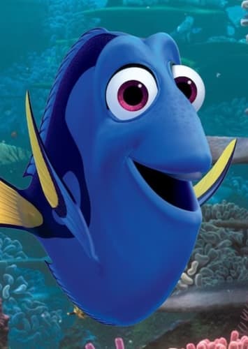 Dory