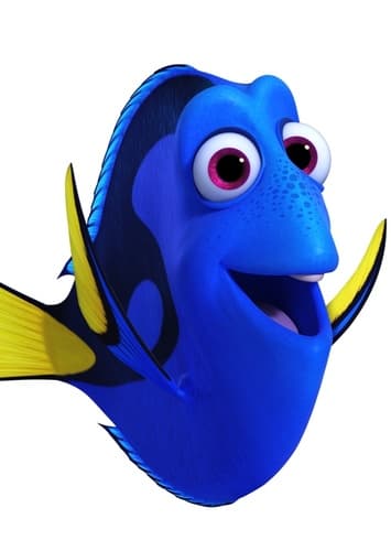 Dory