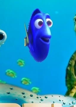 Dory