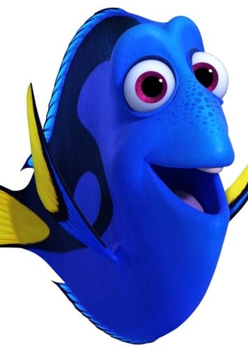 Dory