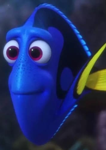 Dory