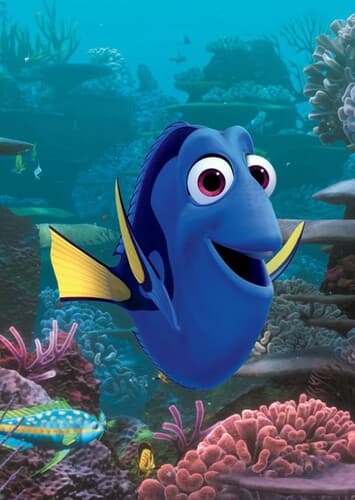 Dory