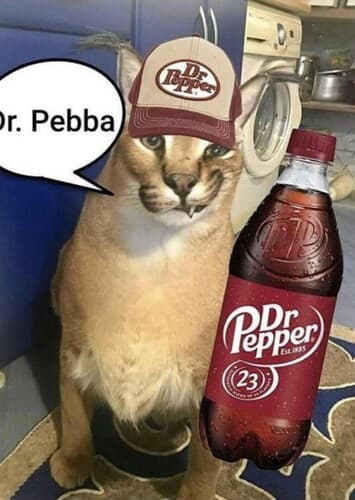 Dr Pebba