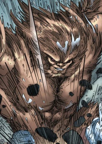 Dr. Walter Langkowski