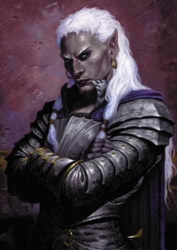 Drizzt Do'Urden