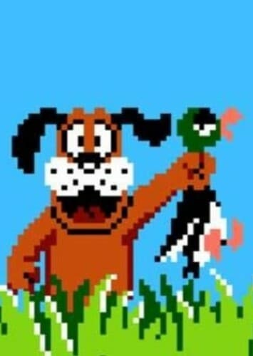Duck Hunt
