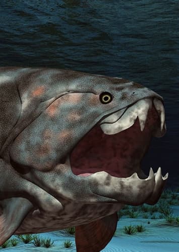 Dunkleosteus