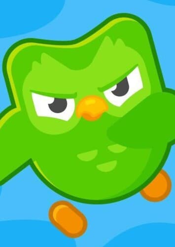 Duolingo Bird