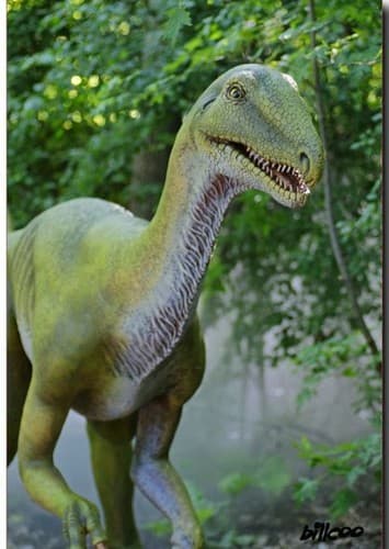 Elaphrosaurus