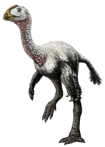 Elmisaurus
