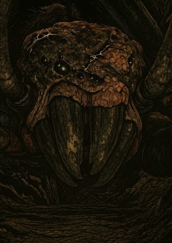 Emma´s Transformations