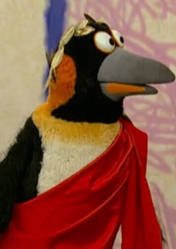 Emperor Penguin