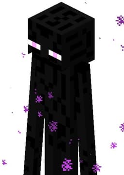 Enderman
