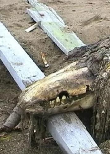 Enhanced Survivability