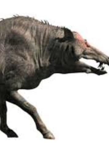Entelodont