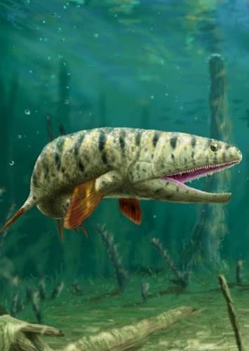 Eusthenodon