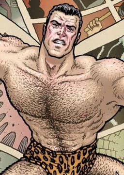 Flex Mentallo