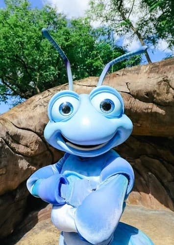 Flik