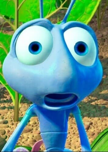 Flik