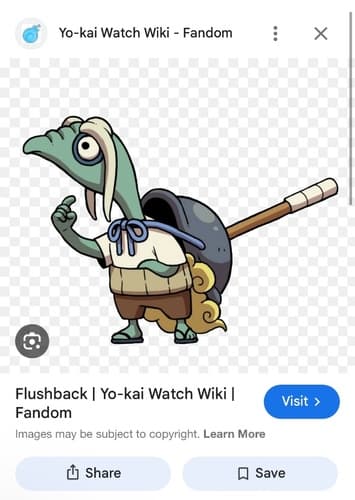 Flushback