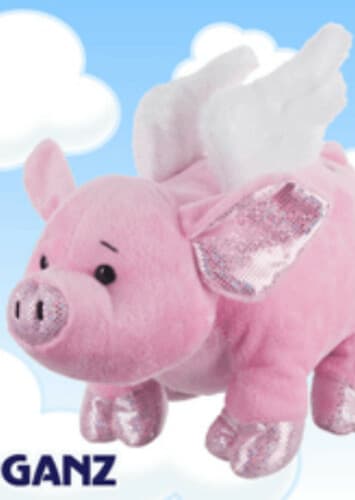 Flutter Pig