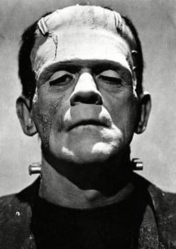 Frankenstein´s Monster