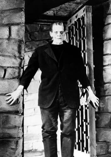 Frankenstein's Monster