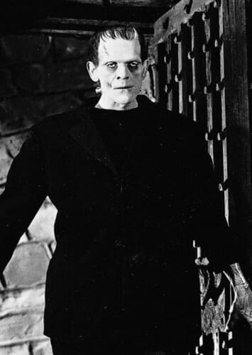 Frankenstein's Monster