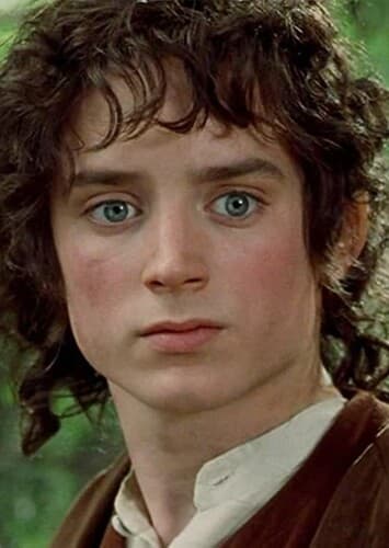 Frodo Baggins