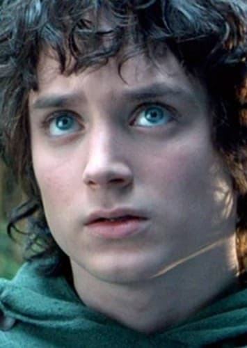 Frodo Baggins