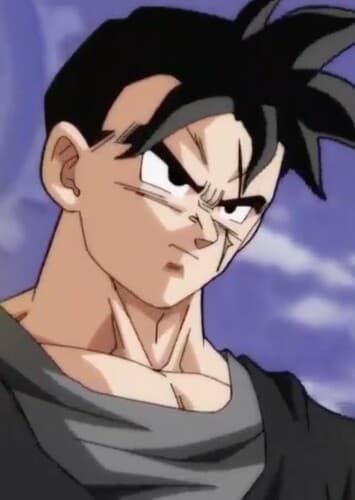 Future Gohan