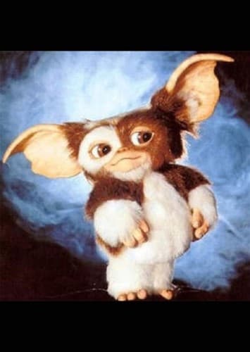 Gizmo