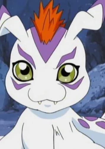Gomamon