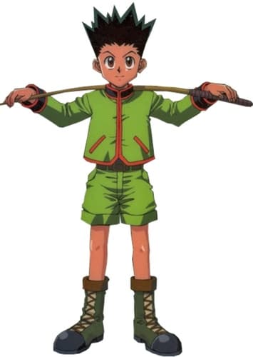 Gon Freecss