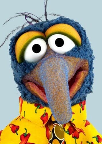 Gonzo