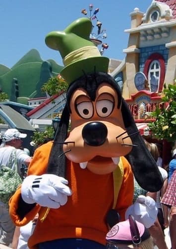 Goofy