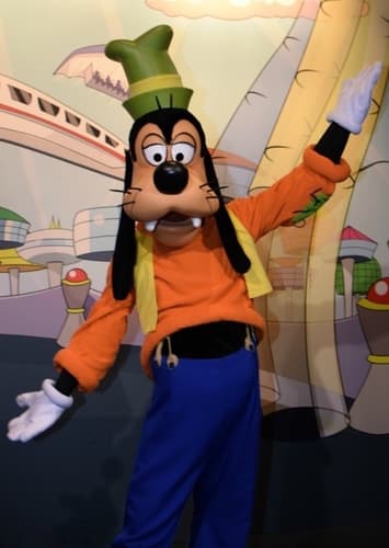 Goofy