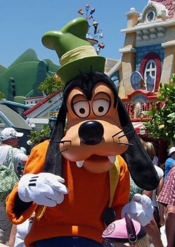Goofy
