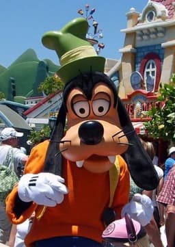 Goofy