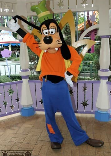 Goofy