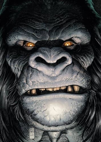 Gorilla grodd